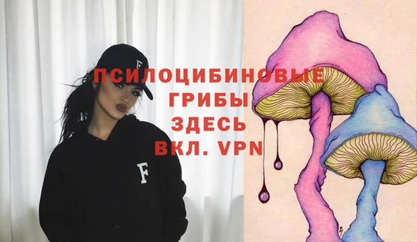 прущий лед Ладушкин