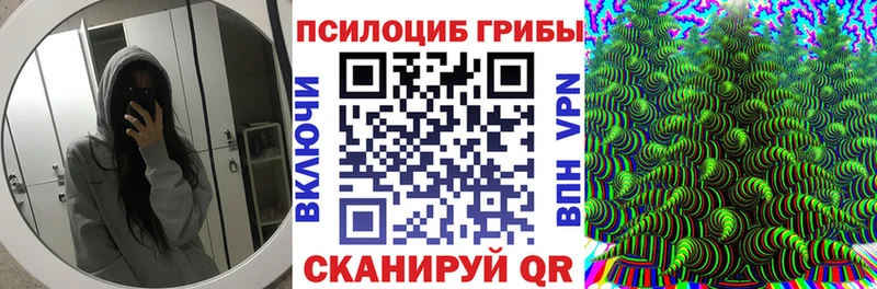 Псилоцибиновые грибы Psilocybe  Архангельск 